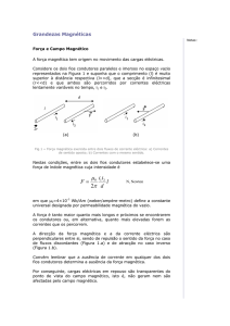 Grandezas Magnéticas - e-learning-IEFP