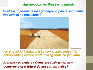 Agronegócio no Brasil e no mundo Qual é a importância do
