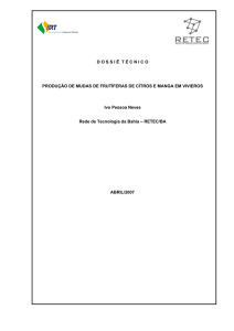 DOSSI Ê T É CNICO PRODUÇÃO DE MUDAS DE FRUTÍFERAS DE