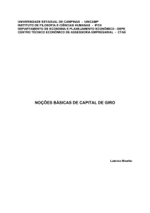 noções básicas de capital de giro - Instituto de Economia