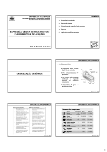 Expressão gênica em procariotos: fundamentos e aplicações