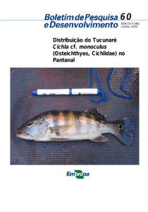 Distribuição do Tucunaré Cichla cf. monoculus