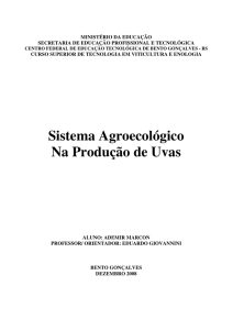 Sistema Agroecológico Na Produção de Uvas - IFRS