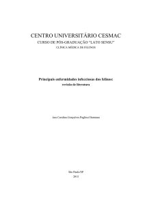 pre textuais TCC definitivo - com capa dura