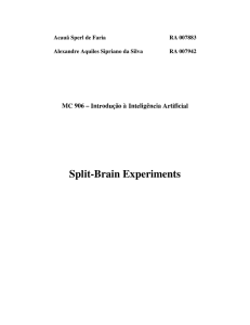 Brain split experiments - IC