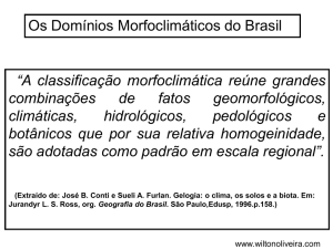 Os Domínios Morfoclimáticos do Brasil “A classificação