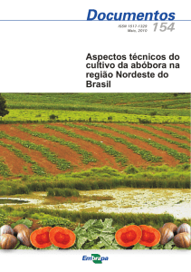Aspectos técnicos do cultivo da abóbora na região Nordeste do Brasil