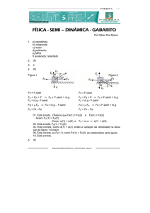 FÍSICA - SEMI – DINÂMICA