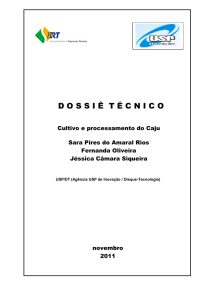Relatorio 92/93 - Serviço Brasileiro de Respostas Técnicas