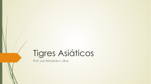 Tigres Asiáticos - Anglo Guarulhos