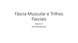Fáscia Muscular e Trilhos Fasciais