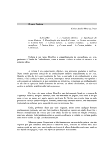 O que é Certeza Carlos Aurélio Mota de Souza SUMÁRIO: 1. A