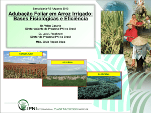 Adubação Foliar em Arroz Irrigado - IPNI - Brasil