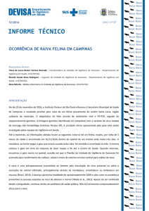 Informe Técnico - Ocorrência de Raiva Felina em Campinas