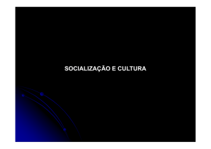 socialização e cultura - Escola Secundária de Felgueiras
