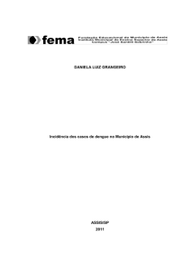 DANIELA LUIZ GRANGEIRO Incidência dos casos de dengue no