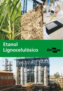 A Importância do Etanol Lignocelulósico - Ainfo
