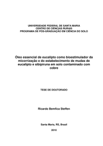 Óleo essencial de eucalipto como bioestimulador da