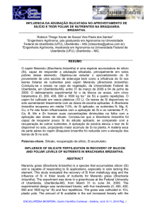 INFLUENCIA DA ADUBAÇÃO SILICATADA NO APROVEITAMENTO