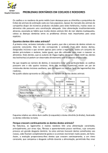 problemas dentários em coelhos e roedores