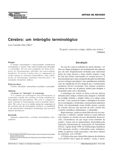 Jornal Bras Neurocirugia 14(1).pmd