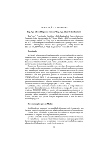 PROPAGAÇÃO DA BANANEIRA Eng. Agr. Edson Shigueaki