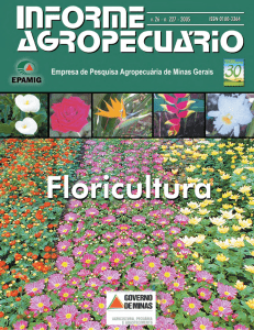 Informe Agropecuário nº227 - Floriculturahot!