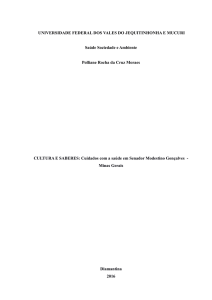 UNIVERSIDADE FEDERAL DOS VALES DO JEQUITINHONHA E