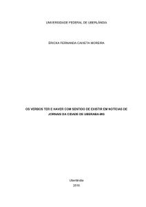 universidade federal de uberlândia éricka fernanda caixeta moreira