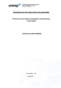 Thap Maeo - Sociedade Brasileira de Fruticultura