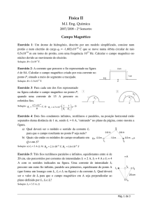 problemas_campo_magnético