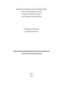 principais distúrbios endócrinos em felinos domésticos