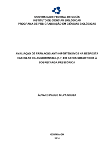 Álvaro Paulo da Silva Souza - Programa de Pós