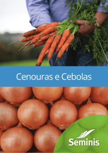 Cenouras e Cebolas