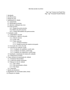 Provinha n 4 - Tecnicas de cultivo - para o 01