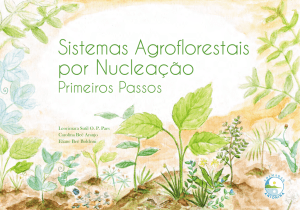 Sistemas Agroflorestais por Nucleação