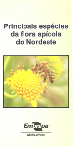 Principais especies da flora apicola do Nordeste