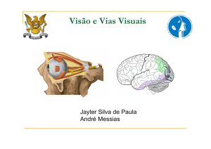 Visão e Vias Visuais