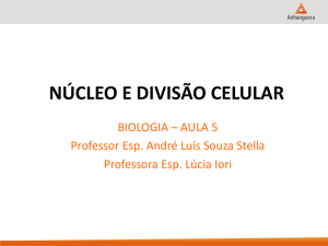 divisão celular - Comunidades.net