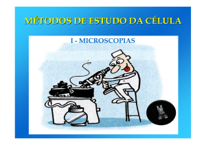 Métodos de Estudo da Célula: Microscopia