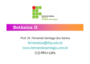 Parte 1 - Fernando Santiago dos Santos