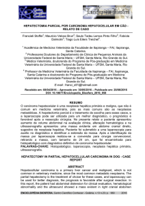 hepatectomia parcial por carcinoma hepatocelular em cão