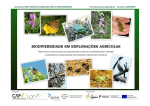 biodiversidade em explorações agrícolas