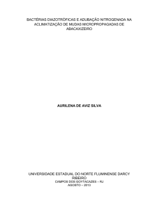 bactérias diazotróficas e adubação nitrogenada na