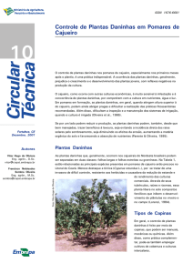 Controle de Plantas Daninhas em Pomares de Cajueiro - Infoteca-e