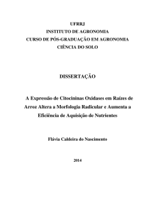 DISSERTAÇÃO A Expressão de Citocininas Oxidases em