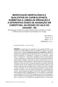 Modificação Morfológica e Qualitativa de Capim Elefante Submetida