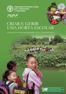 Criar e gerir uma horta escolar - Food and Agriculture Organization