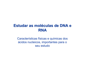 Estudar as moléculas de DNA e RNA