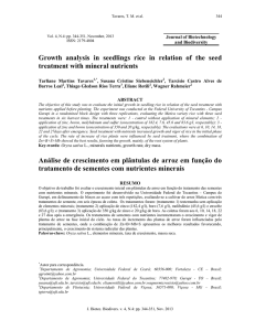 Growth analysis in seedlings rice in relation of the seed